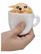 Pup in a Cup Fidget Toy Assorted